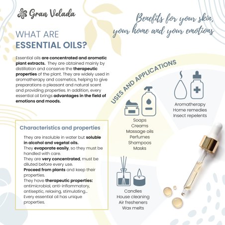 Descubre el aceite esencial de niaouli: propiedades purificantes, energizantes y revitalizantes para tus recetas DIY. ¡Compra on