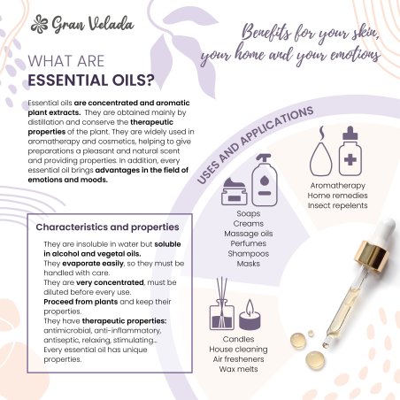 En Gran Velada puedes comprar aceite esencial de hinojo para hacer jabones, cremas para la celulitis, geles... Amplio catalogo o