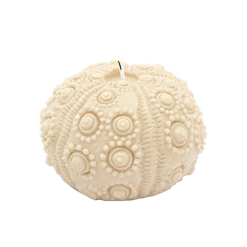 Descubre los exclusivos moldes para velas Erizo de Mar. Gran variedad en stock para envío inmediato. ¡Compra ya y crea tus propi