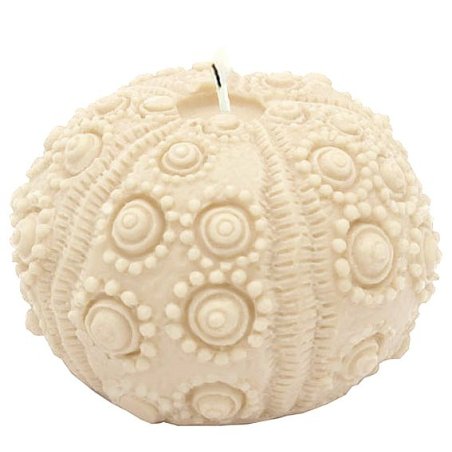 Descubre los exclusivos moldes para velas Erizo de Mar. Gran variedad en stock para envío inmediato. ¡Compra ya y crea tus propi