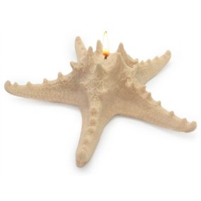 Molde Estrela Marinha Horn Gigante