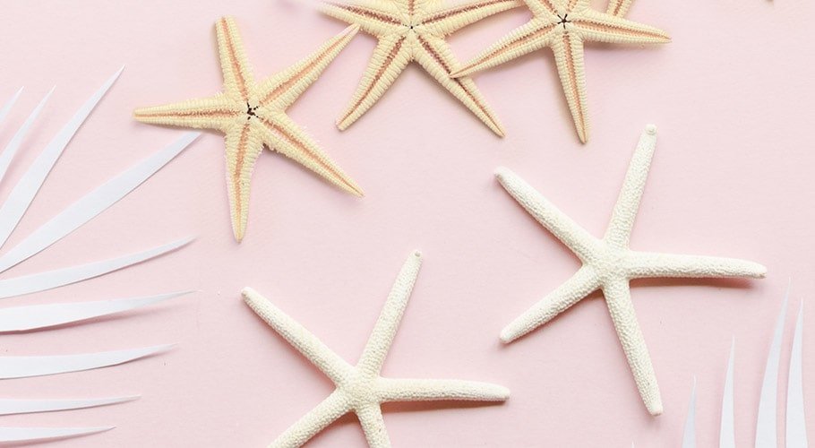 Estrellas de mar