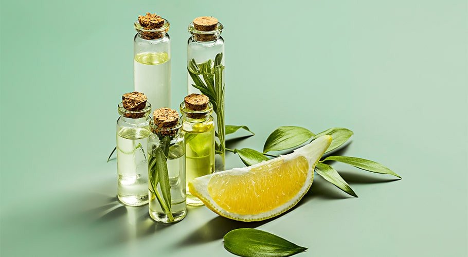 Extractos oleosos de plantas